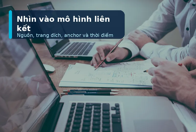 Phân tích nguồn và mô hình liên kết website