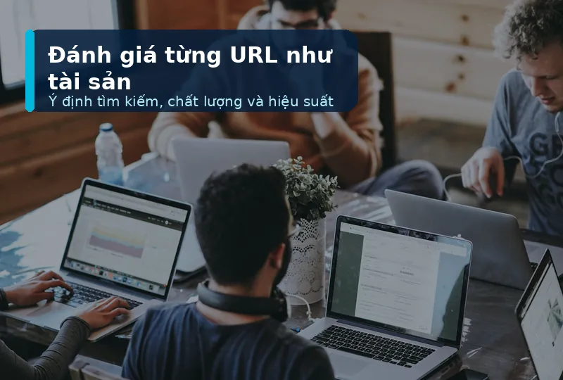 Đánh giá nội dung website theo vai trò và hiệu suất