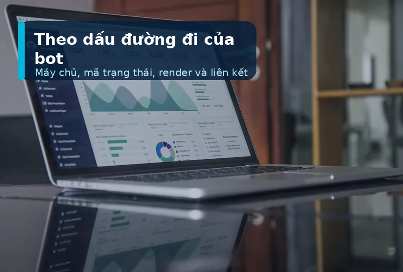 Theo dõi hiệu suất và tình trạng kỹ thuật website